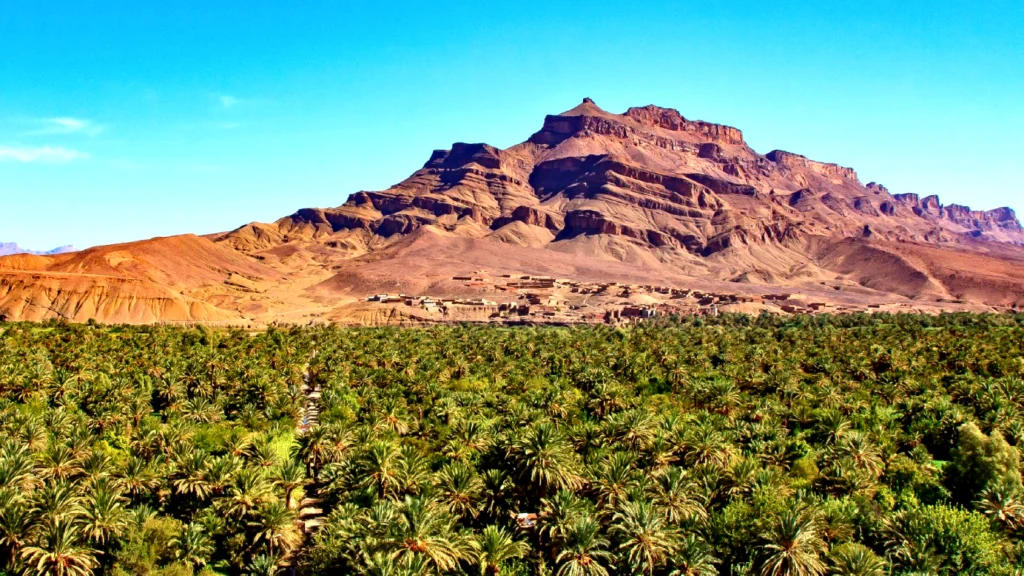 escursione alla valle di Draa da Ouarzazate