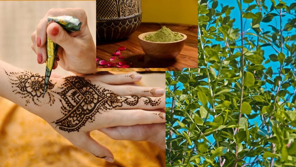 henna in Marocco