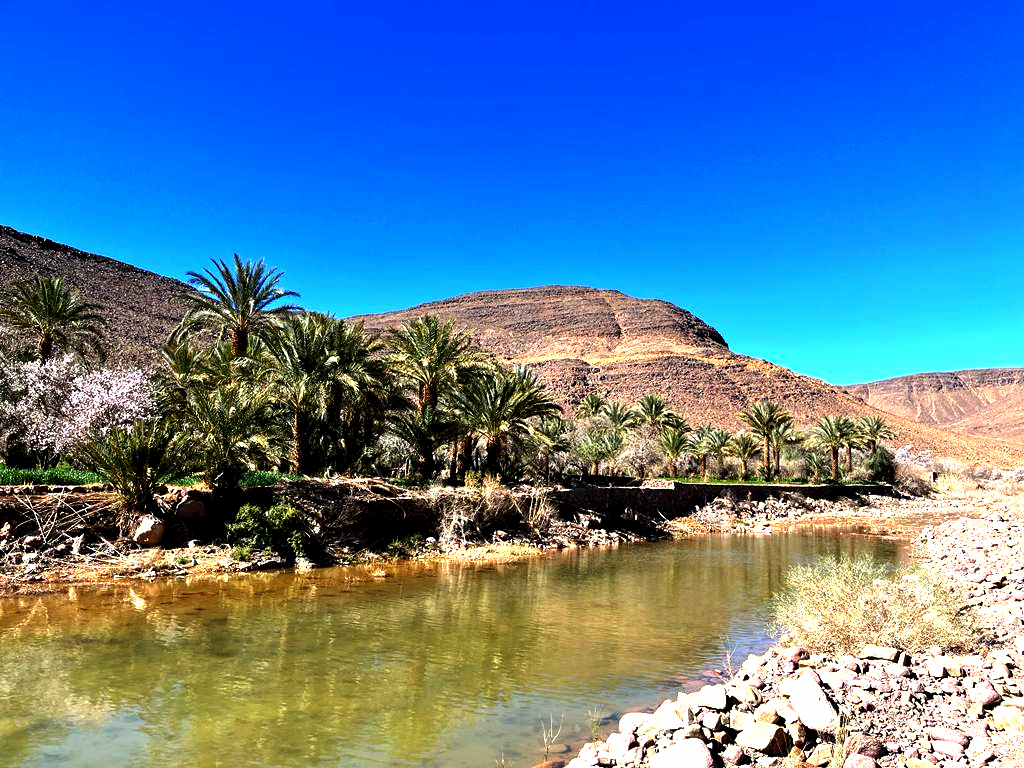 tour nel deserto da Ouarzazate